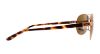 Picture of Oakley Sunglasses FEEDBACK