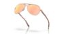 Picture of Oakley Sunglasses FEEDBACK