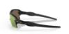 Picture of Oakley Sunglasses FLAK 2.0 XL