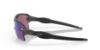 Picture of Oakley Sunglasses FLAK 2.0 XL