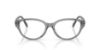 Picture of Swarovski Eyeglasses SK2058D