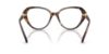 Picture of Swarovski Eyeglasses SK2054