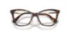 Picture of Swarovski Eyeglasses SK2051F