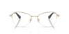 Picture of Swarovski Eyeglasses SK1032