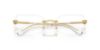Picture of Swarovski Eyeglasses SK1031