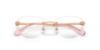 Picture of Swarovski Eyeglasses SK1035D