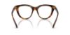 Picture of Swarovski Eyeglasses SK2052