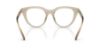 Picture of Swarovski Eyeglasses SK2052