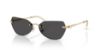 Picture of Swarovski Sunglasses SK7038