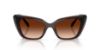 Picture of Swarovski Sunglasses SK6047