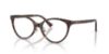 Picture of Jimmy Choo Eyeglasses JC3047F