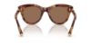 Picture of Dolce & Gabbana Sunglasses DG4518