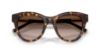 Picture of Dolce & Gabbana Sunglasses DG4518