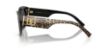 Picture of Dolce & Gabbana Sunglasses DG4514