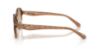 Picture of Coach Sunglasses HC8445D