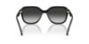 Picture of Coach Sunglasses HC8437F