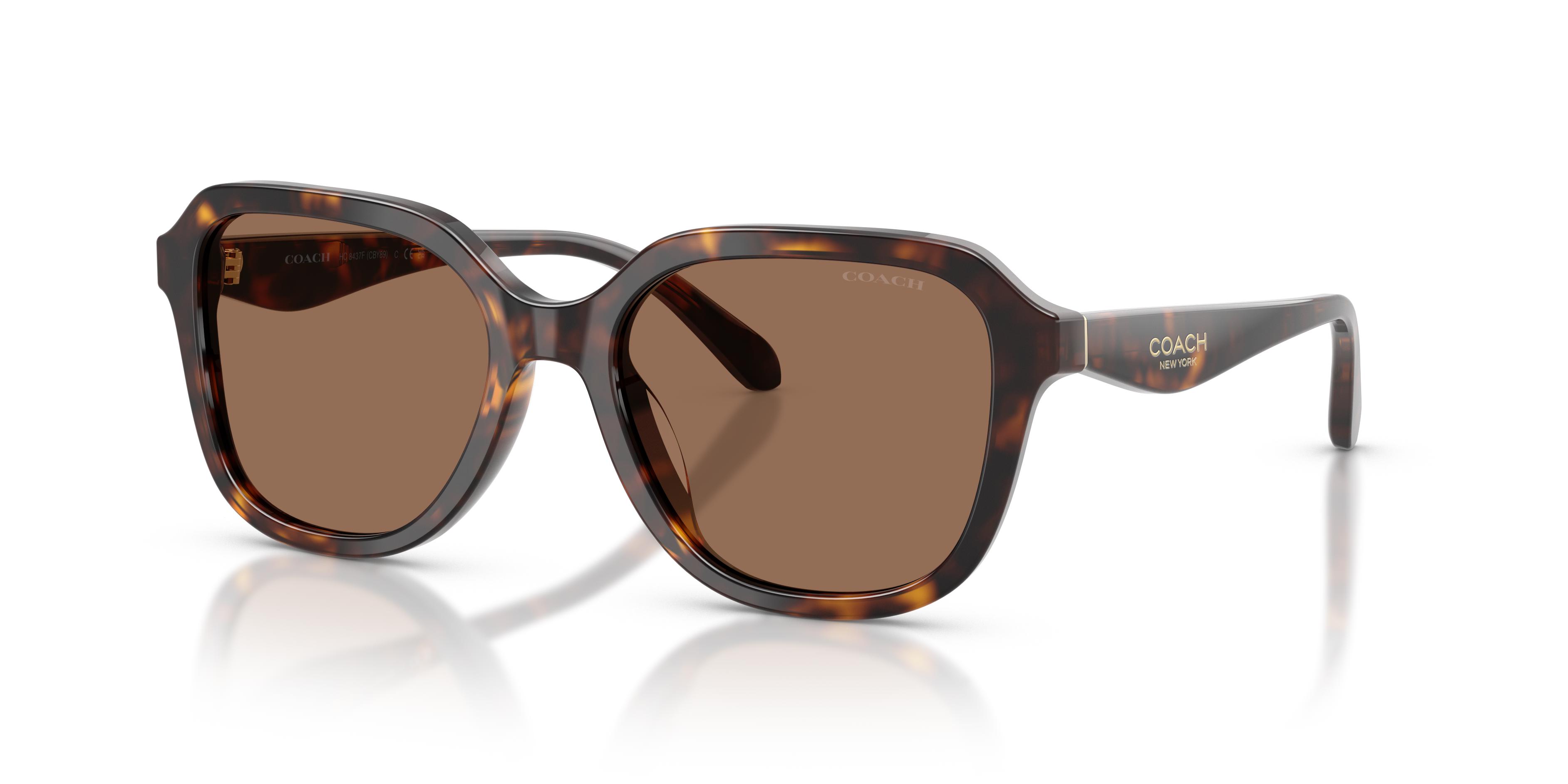 Picture of Coach Sunglasses HC8437F
