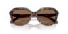 Picture of Coach Sunglasses HC8437F