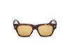 Picture of Tom Ford Sunglasses FT1280