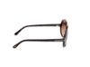 Picture of Tom Ford Sunglasses FT1210