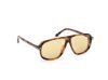 Picture of Tom Ford Sunglasses FT1208