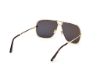 Picture of Tom Ford Sunglasses FT1204