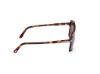 Picture of Tom Ford Sunglasses FT1177