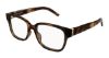 Picture of Saint Laurent Eyeglasses SL M150