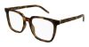 Picture of Saint Laurent Eyeglasses SL M146 OPT