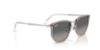 Picture of Ray Ban Sunglasses RB4451