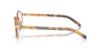 Picture of Prada Eyeglasses PRB55V
