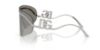 Picture of Dolce & Gabbana Sunglasses DG2320