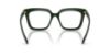 Picture of Swarovski Eyeglasses SK2043F