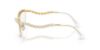 Picture of Swarovski Eyeglasses SK1030