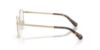 Picture of Swarovski Eyeglasses SK1029D