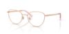 Picture of Swarovski Eyeglasses SK1029D