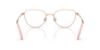 Picture of Swarovski Eyeglasses SK1029D