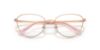 Picture of Swarovski Eyeglasses SK1029D