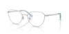 Picture of Swarovski Eyeglasses SK1029D