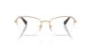 Picture of Swarovski Eyeglasses SK1023