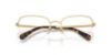 Picture of Swarovski Eyeglasses SK1023