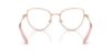 Picture of Swarovski Eyeglasses SK1022