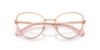 Picture of Swarovski Eyeglasses SK1022