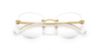 Picture of Swarovski Eyeglasses SK1021