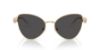 Picture of Swarovski Sunglasses SK7034