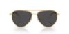 Picture of Swarovski Sunglasses SK7031