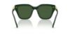 Picture of Swarovski Sunglasses SK6041F