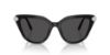 Picture of Swarovski Sunglasses SK6039