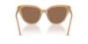 Picture of Swarovski Sunglasses SK6039