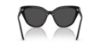 Picture of Swarovski Sunglasses SK6039F